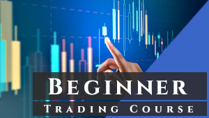 Beginner Trading Courses